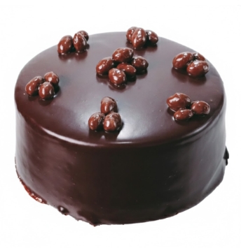 Çikolatalı Yaş Pasta 6-9 Kişilik Butik Lezzet Serisi